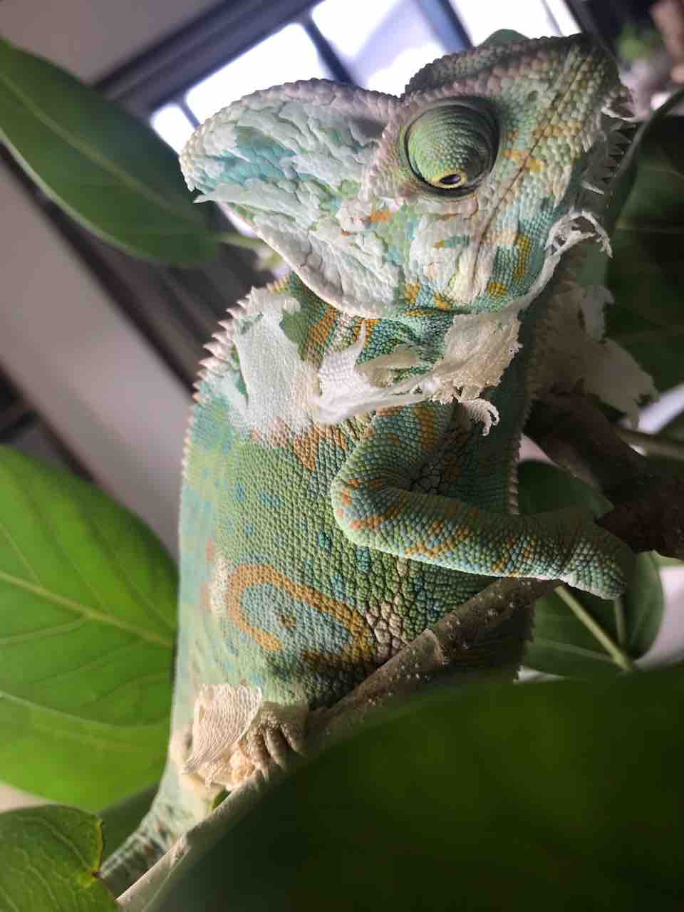 19日小千谷スナックありす 小千谷のスナック 蟻巣 ありす 19日小千谷スナックありす 小千谷のスナック 蟻巣 ありす