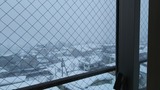 661f9063.jpg