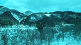 7504a618.jpg