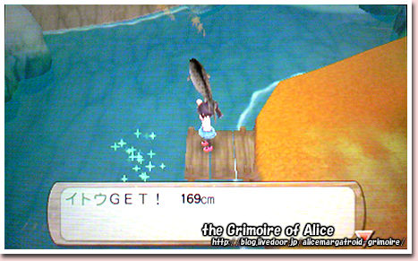 3ds 牧場物語 はじまりの大地 Ed The Grimoire Of Alice