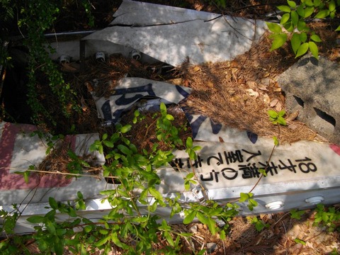 IMGP1892