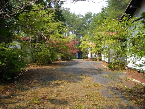 IMGP1913