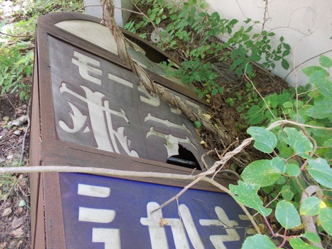 DSCN0323