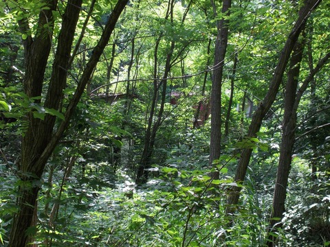 DSCN0320