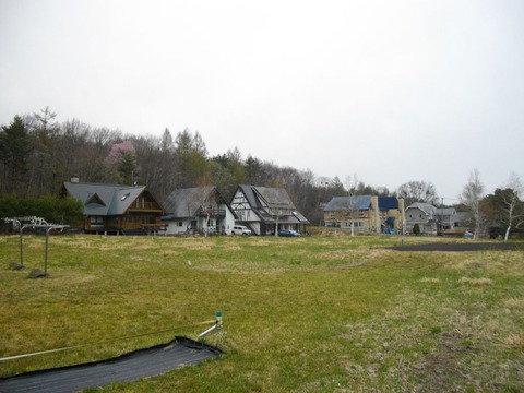 IMGP2293