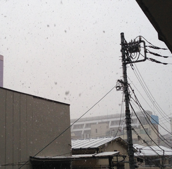 外は雪