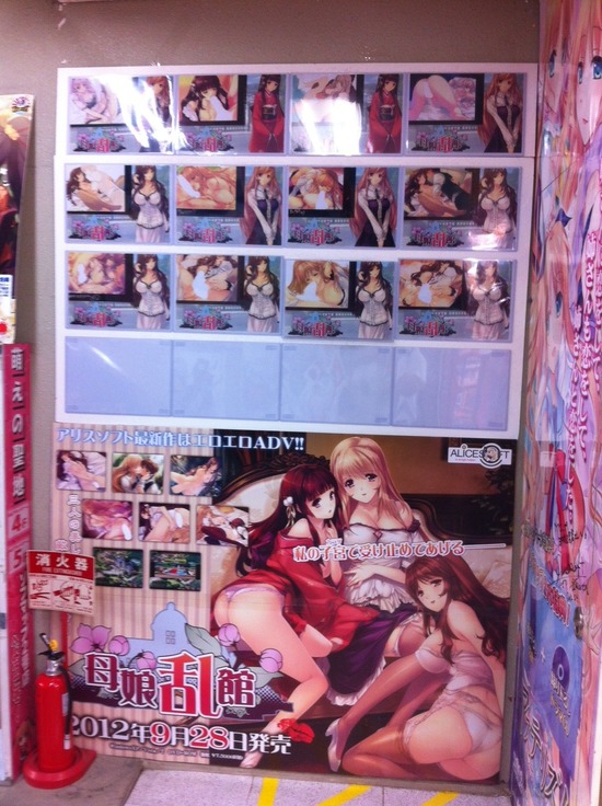 ソフマップ日本橋2号店(途中)