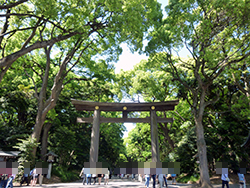 明治神宮