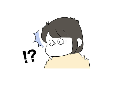 24736737