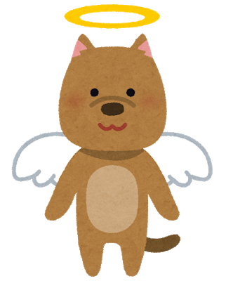pet_angel_dog