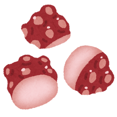 food_cut_seafood_tako