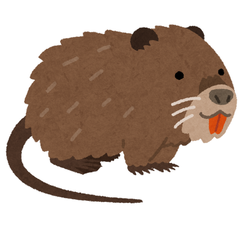 animal_nutria