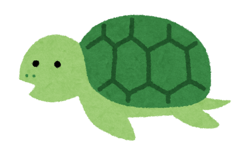 character_turtle_oya