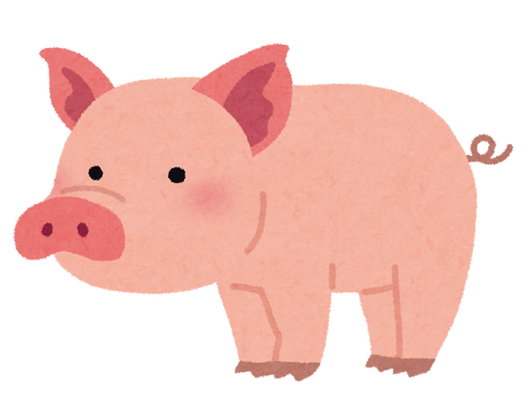 animal_pig_buta