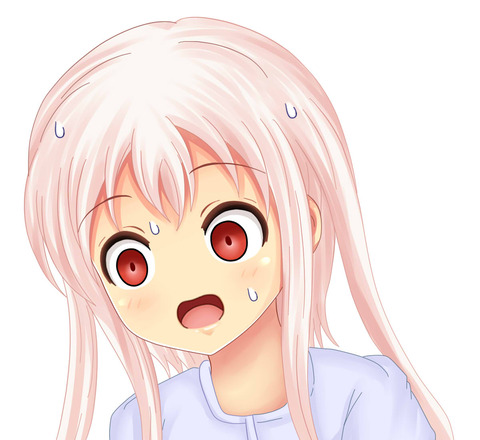 22304173
