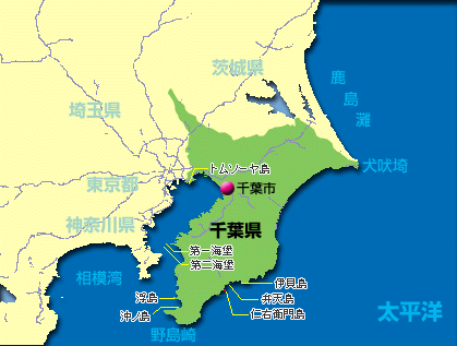 tiba