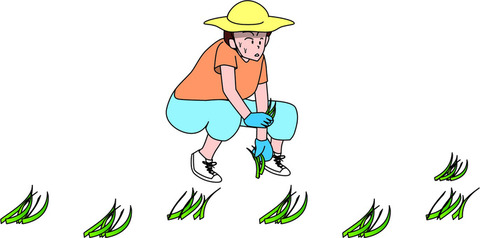 d68d0c4c8a7d195c6132e0212bd72764_t-1