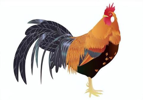 450d8261889ea703c60c7c9c07e816ef_t