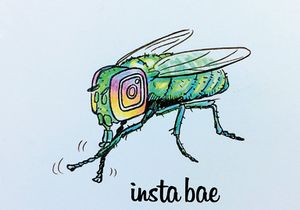 Insta_Bae