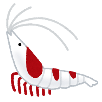fish_ebi_red_bee_shrimp