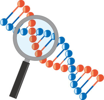 e33aaaa49e63bdf719bf099445de8875_t