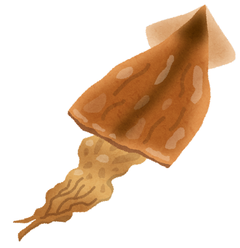food_surume