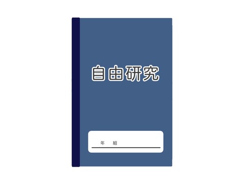 25348049