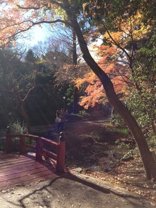 万葉公園