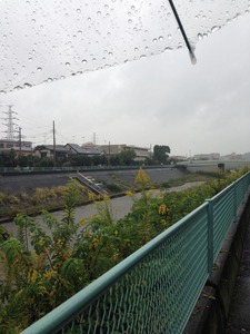 雨のお散歩