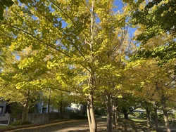 IMG_9869
