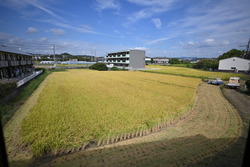 °ð´¢¤ê¤¬½ª¤ï¤ê¤Þ¤·¤¿