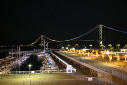 DSC_4317