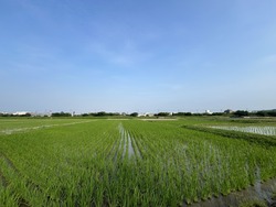 IMG_5452