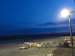 ¤ªËß´ü´ÖÃæ¤Î±Ä¶È