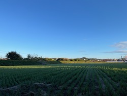 IMG_0021