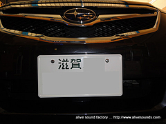 DSC00298