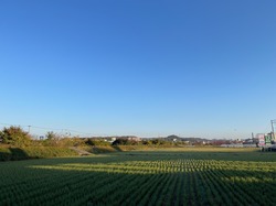 IMG_0426