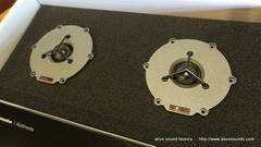 FIT3�ν������ԡ������ˡ������ѡ��ǥåɥ˥󥰻ܹ������������