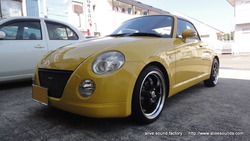 ڥ˥ѡǥåɥ˥&ѡ塼˥󥰻ܹܸ