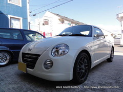 ���ڥ�˥����ѡ��ǥåɥ˥�