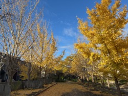 IMG_0638