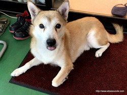 2025ǯ��ǯ���Τ���������