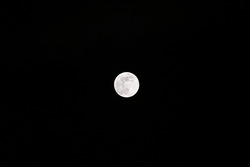 DSC_4857