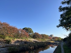 IMG_9866