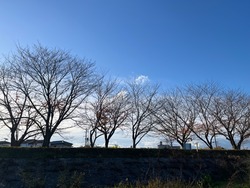 IMG_0610