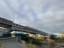 IMG_0085