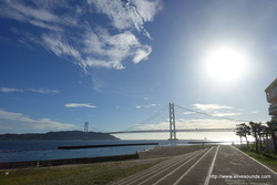 ���ߴ�����αĶ����Τ��Τ餻��