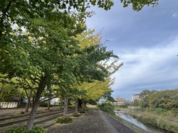 IMG_9114