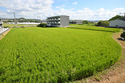 ��������9��Ǥ�