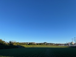 IMG_9358